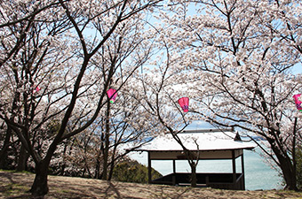 城山桜公園